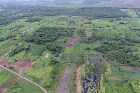 To the naked eye, the ancient site of Aguada Fénix is invisible among the rural ranches of Tabasco.