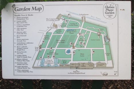 Map/Layout