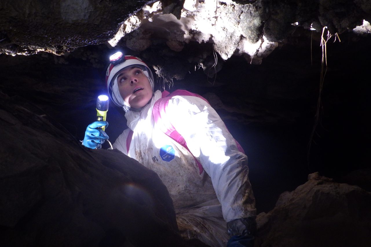 Bat biologist Kristi Confortin checks for—what else—bats.