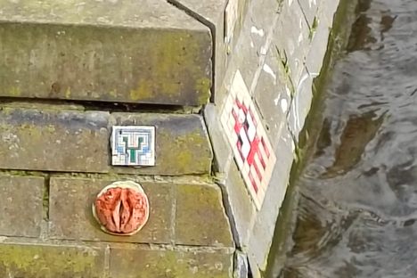 The Canal Vulva (Kutkunst)