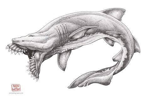 Edestus gigantus.