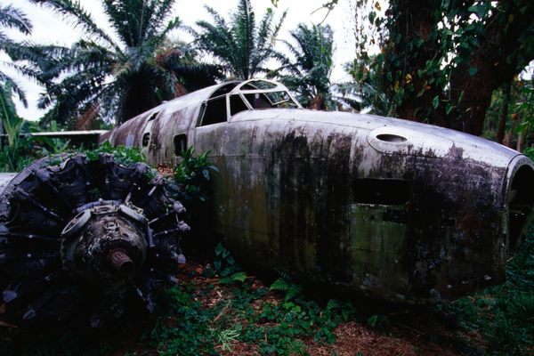 The WWII planes lie within the jungle around the abandoned runway.