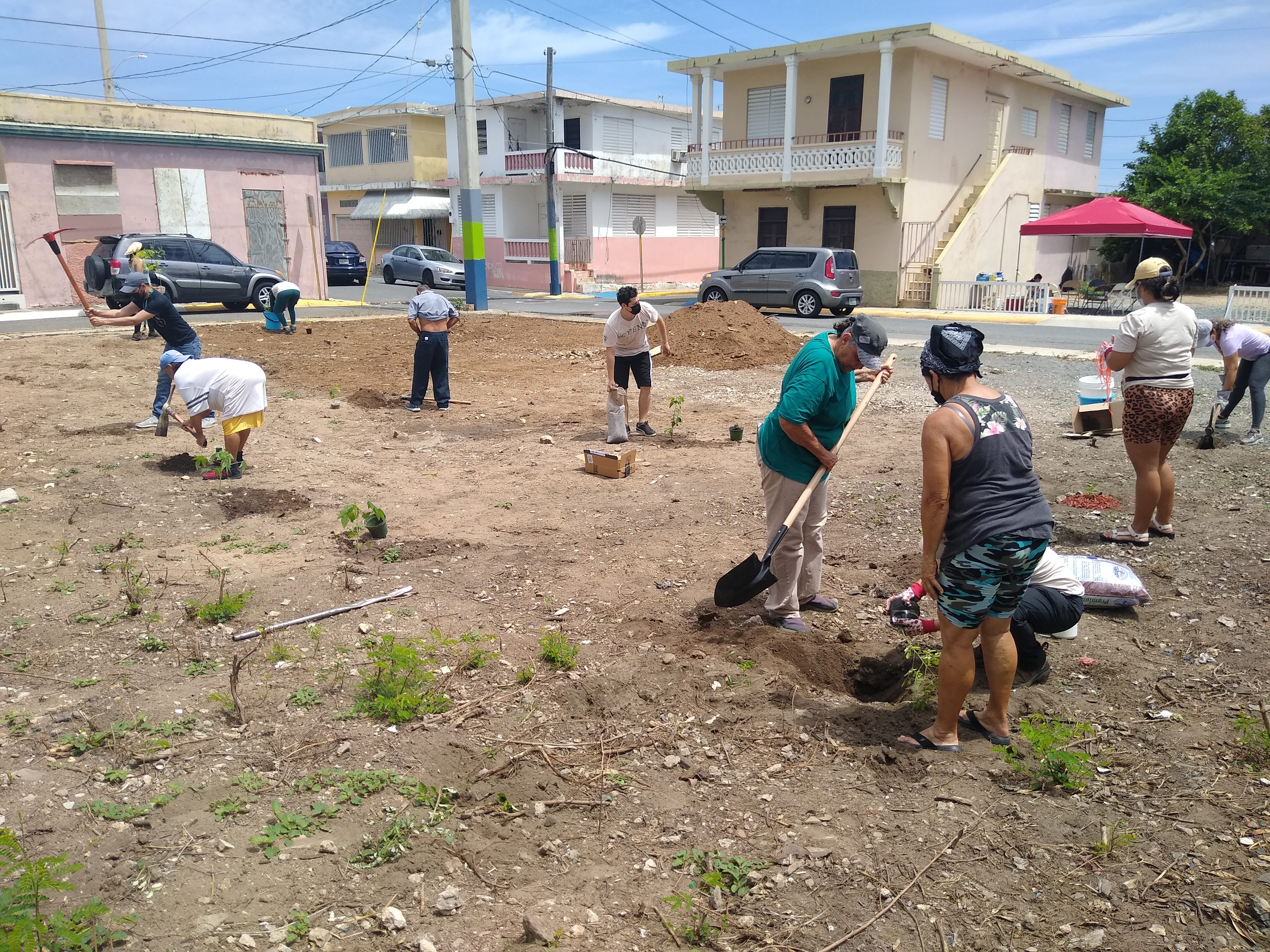 Last month, the group planted a fruit park in the village of Camuy.
