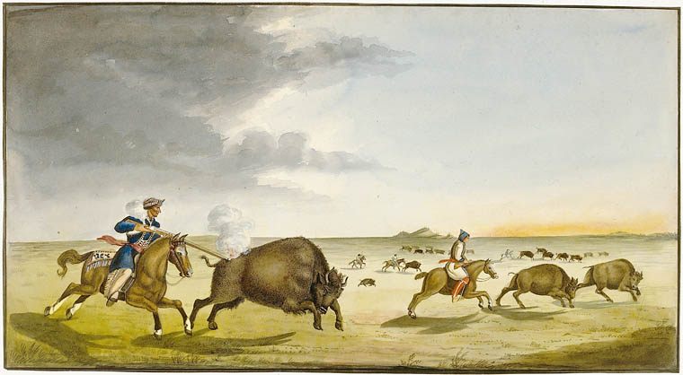 An 1822 painting of a Metís bison hunt, by Peter Rindisbacher.