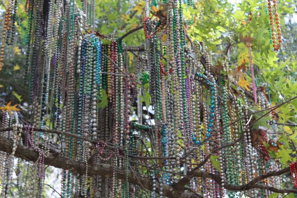 Mardi Gras Bead Tree