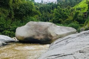 Photo of Jayuya
