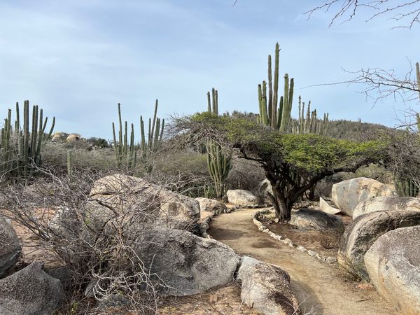 Ayo Rock Formations in Santa Cruz, Aruba