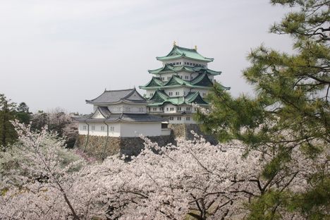 You Still Have Time to Apply to Be a Full-Time Ninja in Japan