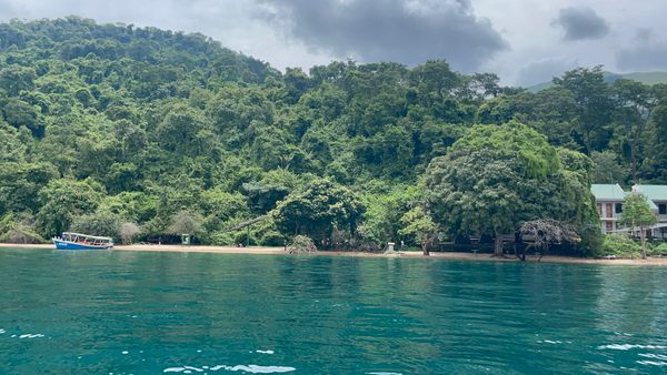 Gombe National Park in Kasekera, Tanzania