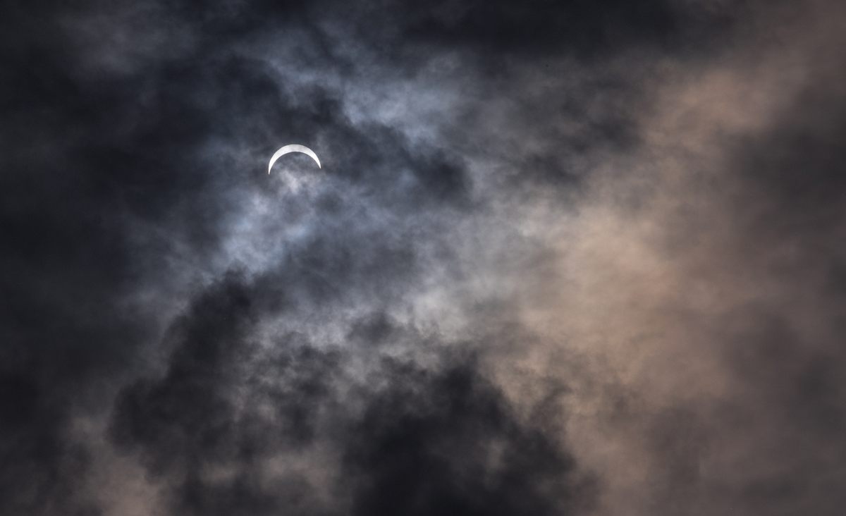 Some researchers predicted that animals would treat the eclipse like dusk. Others thought the response would be like the reaction to a storm.