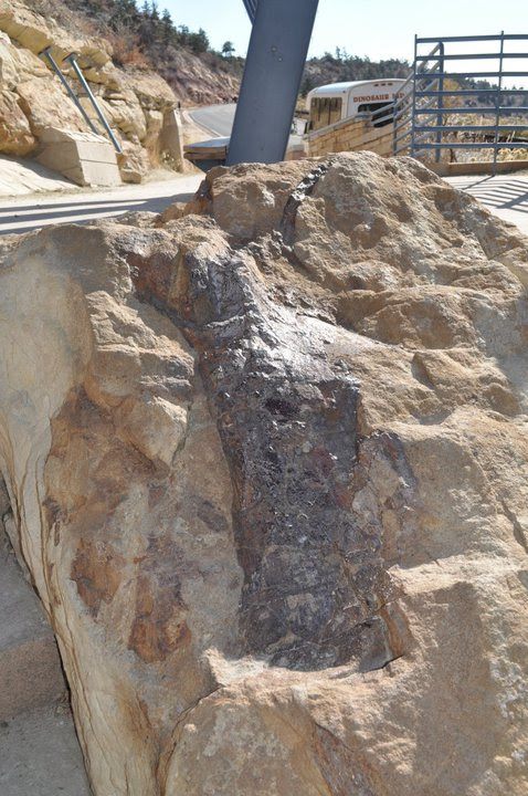 Dinosaur Ridge Subset Dinosaur Ridge - Atlas Obscura