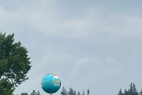 Jenny Globe