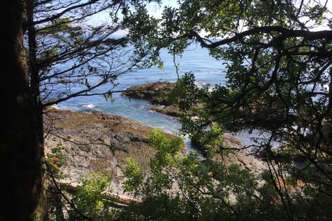 View from the bunker