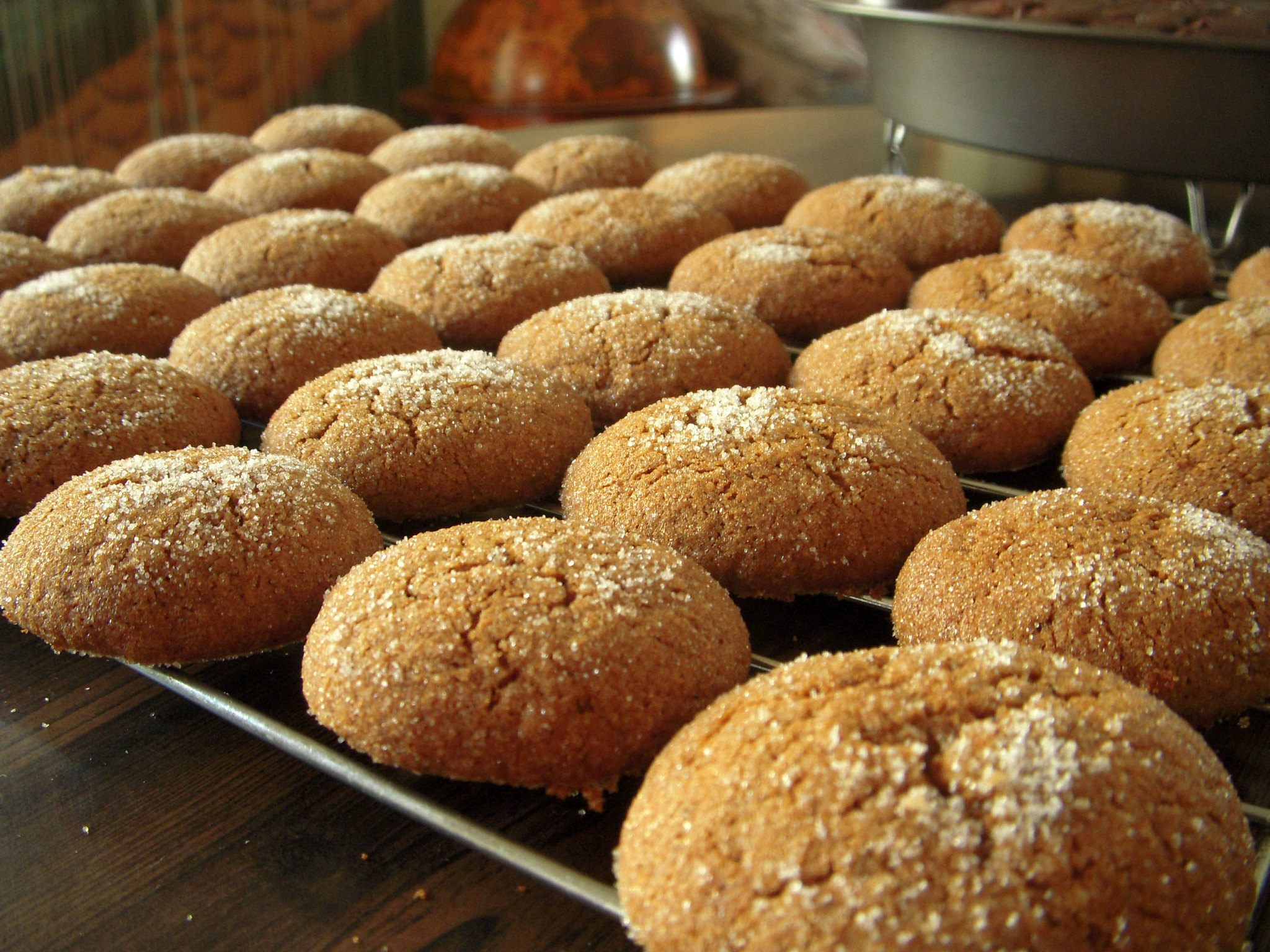 The recipes for funeral biscuits often seems to resemble what we consider ginger snaps. 