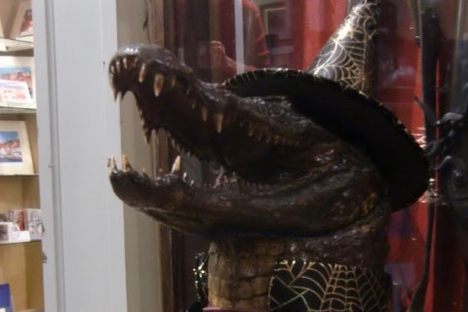 Clarence the Crocodile