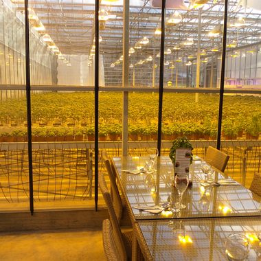 The view when you dine within the greenhouse.
