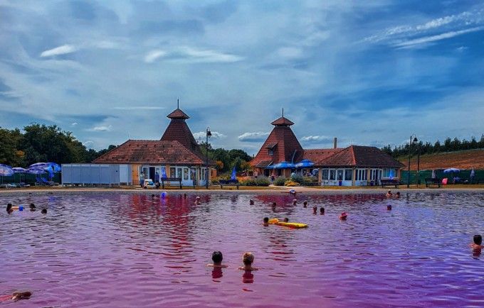 Pink Lake Pačir in Pačir