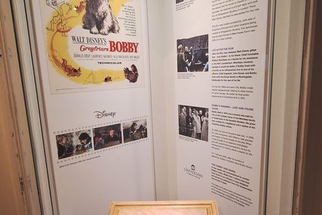 Disney display