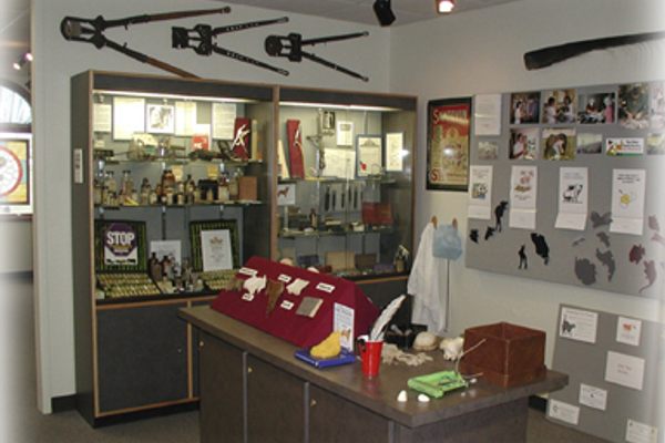 Veterinary Museum of Missouri.