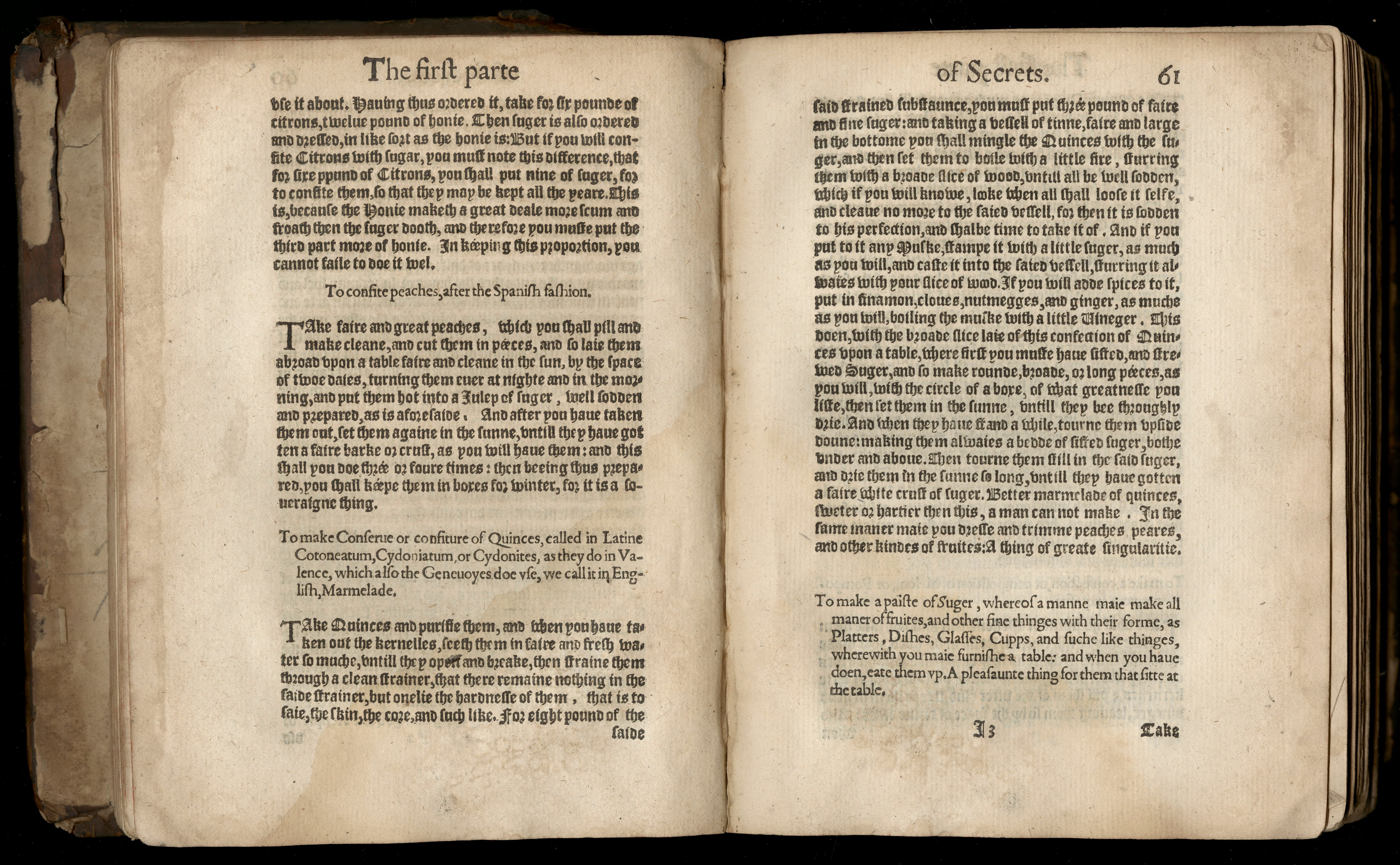 A page from <em>The secrets of the reverend Maister Alexis of Piedmont</em>.