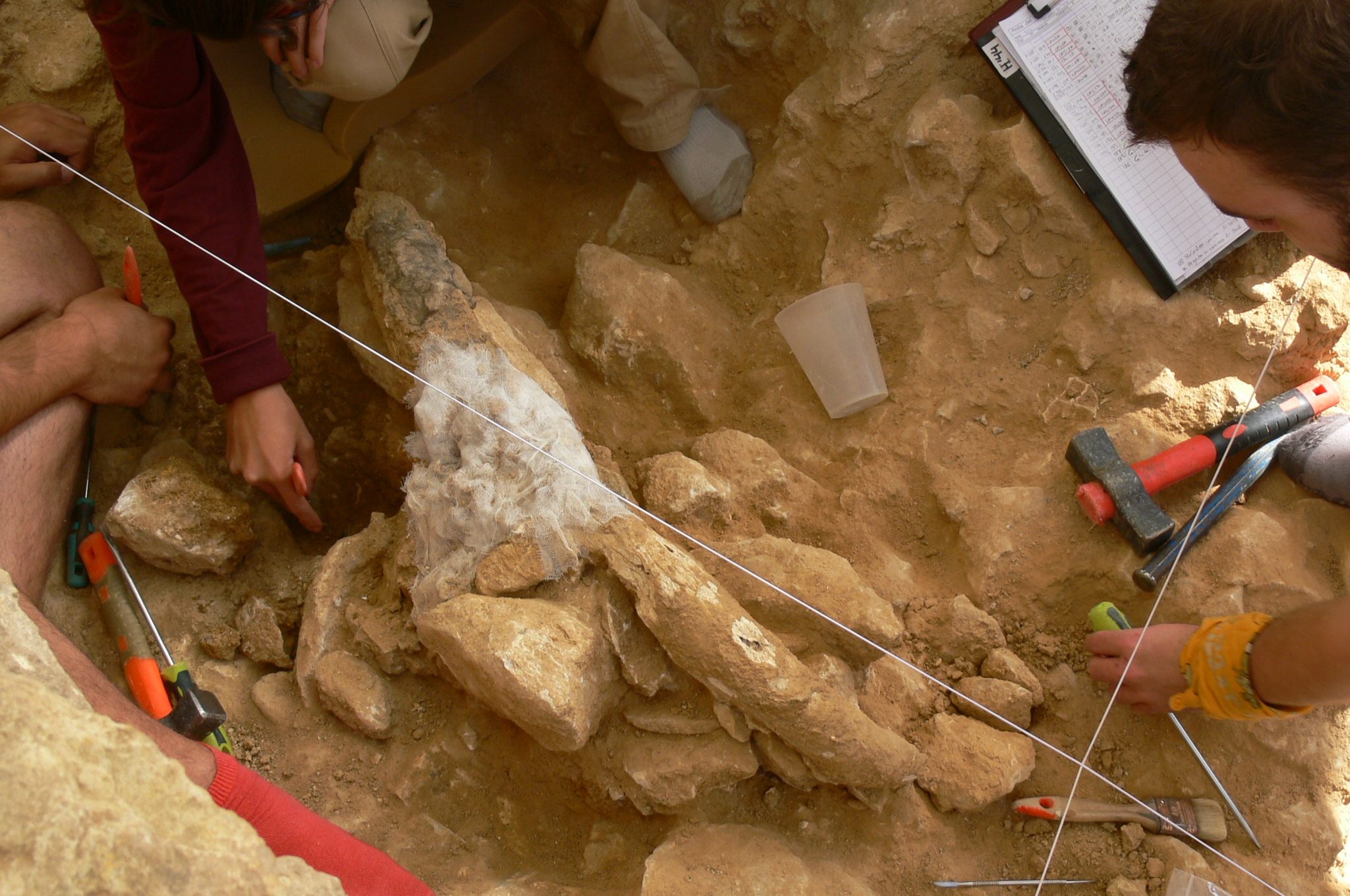 Some of the skulls in Des-Cubierta cave appear to have been placed on piles of ashes. The arrangement is the subject of an ongoing study. 