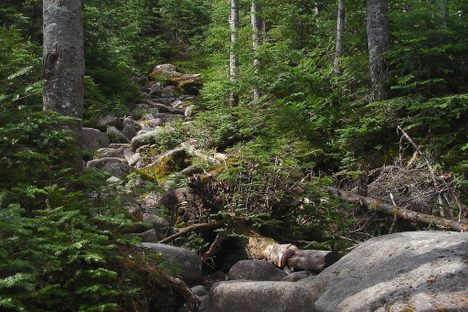 Rocks to Climb on the Van Hoevenberg Trail