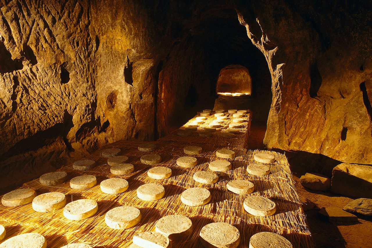 Saint-Nectaire cheese, ripening in one of its famed caves.