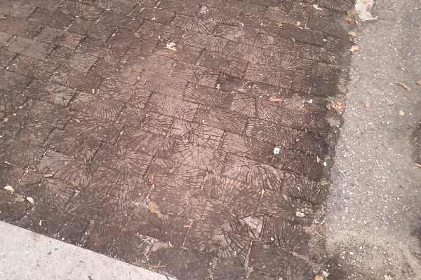 Street paved with wood.
