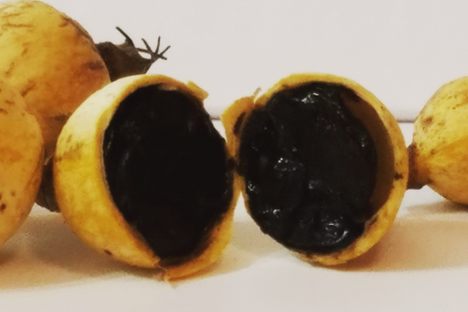Blackberry Jam Fruit