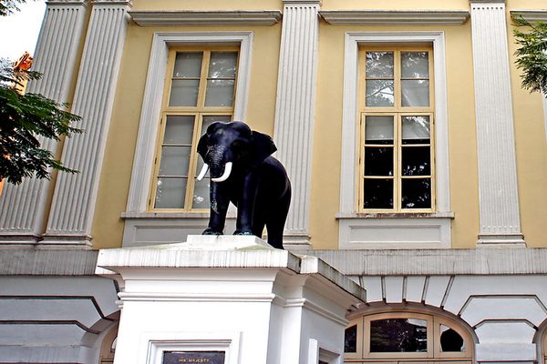 Elephant statue in front of the Old Parliament House.