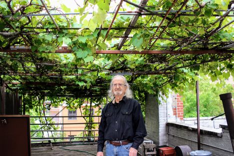 Latif Jiji under the vinous canopy of Chateau Latif.