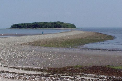Charles Island
