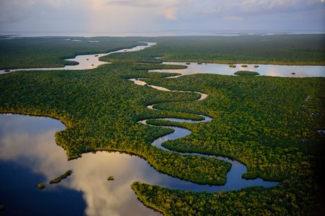 The Florida Everglades, with its network of winding waterways, is an unforgettable place to paddle. 