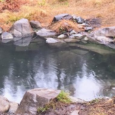 Olympic Hot Springs