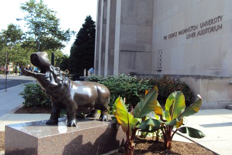 The GW Hippo