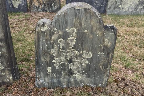 Grave of Ann Franklin