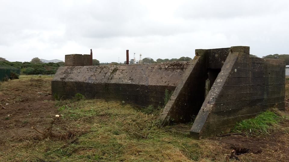 The shelter after the overgrowth was cleared away.
