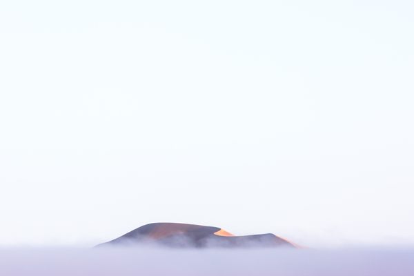Fog sometimes envelopes the Namib's dunes.