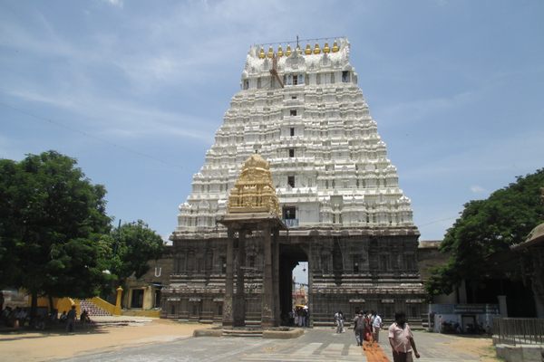 Darshan of Athi Varadar at Sri Varadharaja Perumal Temple.