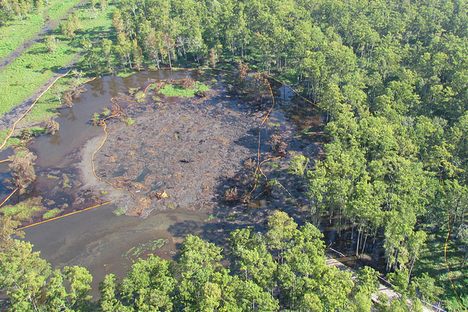 Behold as a Sinkhole Consumes Part of Louisiana