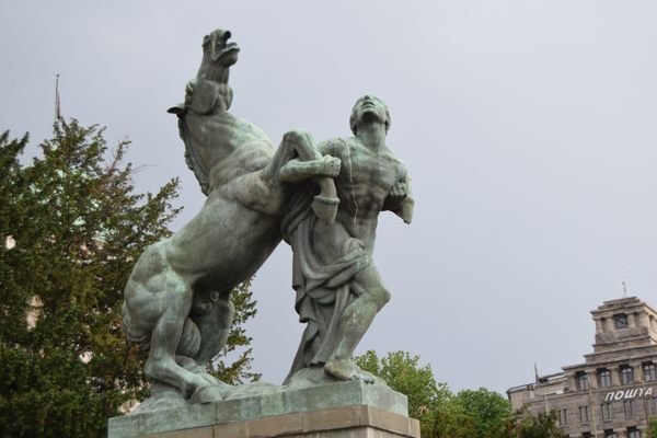 One of the two horses.