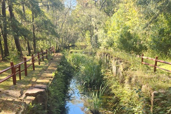 Looking down the remains of the canal