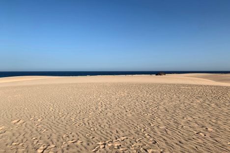 Parque Natural de las Dunas de Corralejo