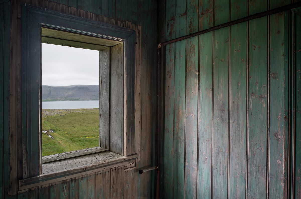 A view from an abandoned house.