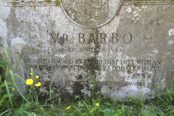 Mr. Barbo's grave.