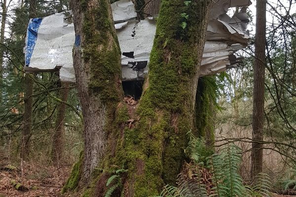 Wreckage pieces that remain, March 2021