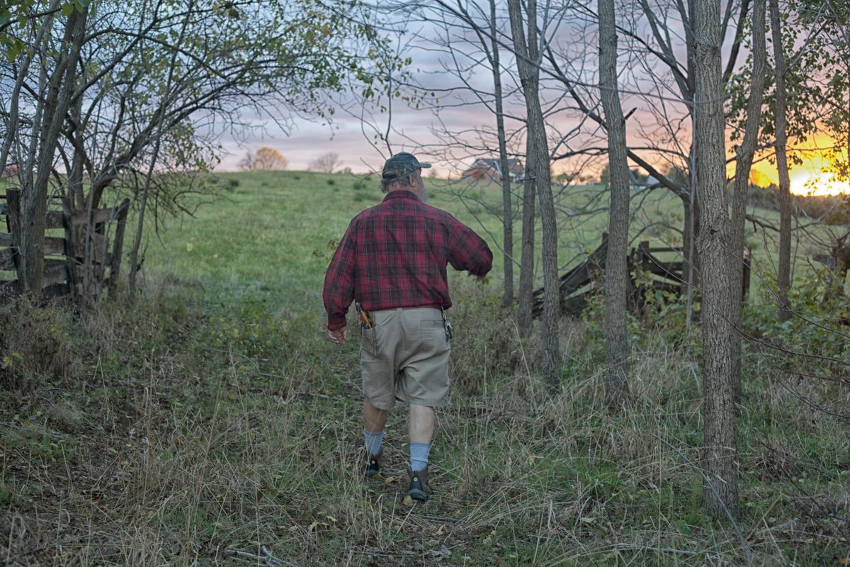Jay Marion strolls into a familiar Virginia field in search of wild edibles.