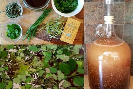 A home-brewed batch of gruit, with its ingredients.