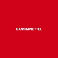 Profile image for bansimviettel