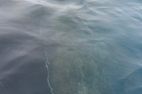 Shipwreck